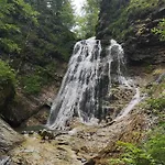 Apartma Jelendol * Tržič