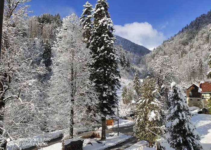 Apartma Jelendol Lejlighed